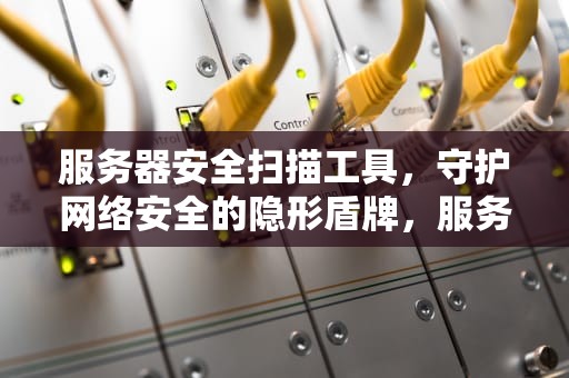 服务器安全扫描工具，守护网络安全的隐形盾牌，服务器安全扫描工具有哪些