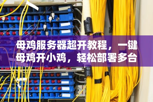 母鸡服务器超开教程，一键母鸡开小鸡，轻松部署多台VPS，母鸡服务器购买