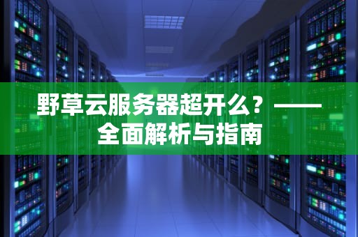 野草云服务器超开么？——全面解析与指南