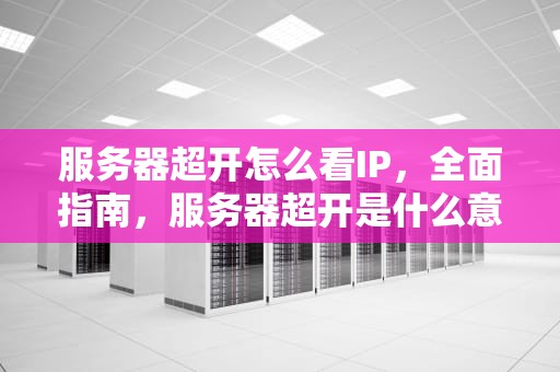 服务器超开怎么看IP，全面指南，服务器超开是什么意思