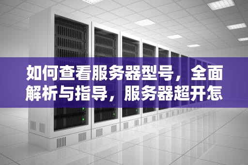 如何查看服务器型号，全面解析与指导，服务器超开怎么看型号啊