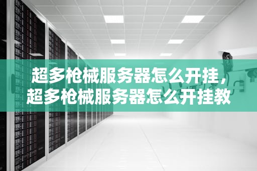 超多枪械服务器怎么开挂，超多枪械服务器怎么开挂教程