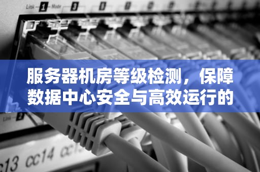 服务器机房等级检测，保障数据中心安全与高效运行的关键，服务器机房等级检测标准