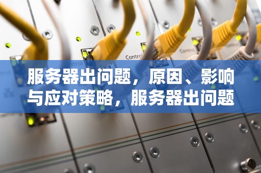 服务器出问题，原因、影响与应对策略，服务器出问题是什么意思