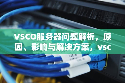VSCO服务器问题解析，原因、影响与解决方案，vsco服务器出错