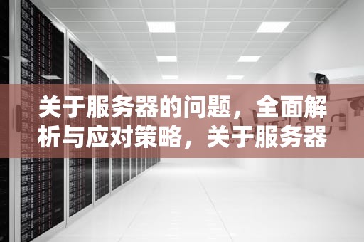 关于服务器的问题，全面解析与应对策略，关于服务器的问题有哪些