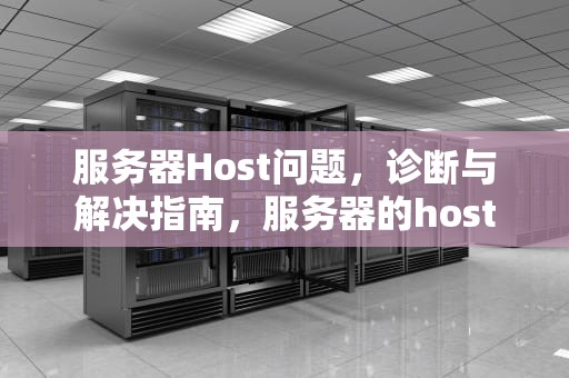 服务器Host问题，诊断与解决指南，服务器的host