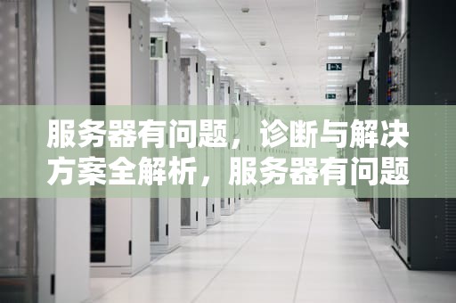 服务器有问题，诊断与解决方案全解析，服务器有问题怎么解决