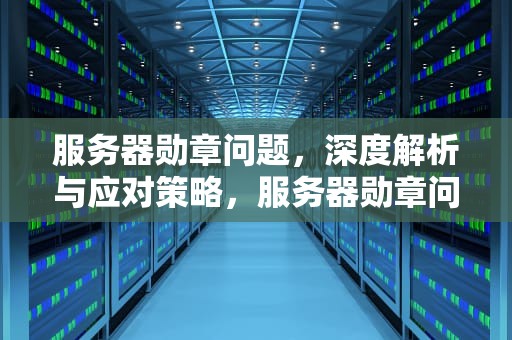 服务器勋章问题，深度解析与应对策略，服务器勋章问题怎么解决
