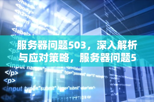 服务器问题503，深入解析与应对策略，服务器问题502