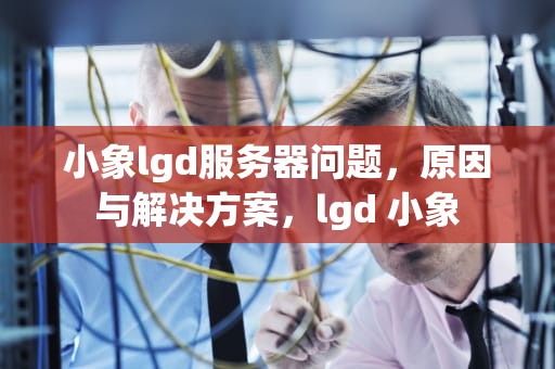 小象lgd服务器问题，原因与解决方案，lgd 小象