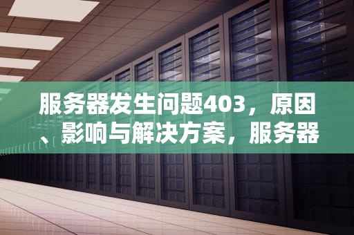 服务器发生问题403，原因、影响与解决方案，服务器发生问题是什么意思