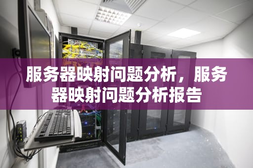 服务器映射问题分析，服务器映射问题分析报告