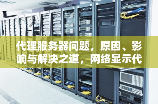代理服务器问题，原因、影响与解决之道，网络显示代理服务器问题
