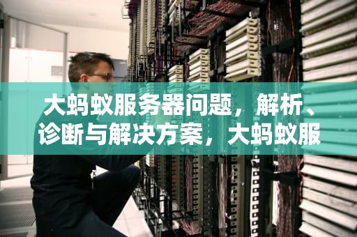 大蚂蚁服务器问题，解析、诊断与解决方案，大蚂蚁服务器问题怎么解决