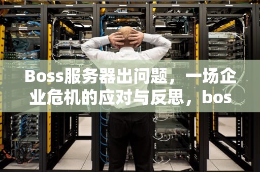 Boss服务器出问题，一场企业危机的应对与反思，boss一直显示服务器繁忙