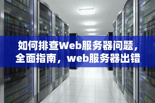 如何排查Web服务器问题，全面指南，web服务器出错