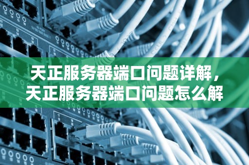 天正服务器端口问题详解，天正服务器端口问题怎么解决