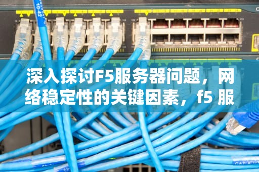 深入探讨F5服务器问题，网络稳定性的关键因素，f5 服务器