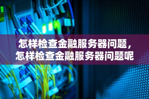怎样检查金融服务器问题，怎样检查金融服务器问题呢