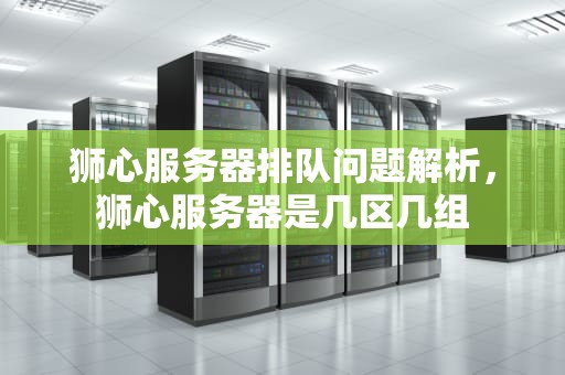 狮心服务器排队问题解析，狮心服务器是几区几组
