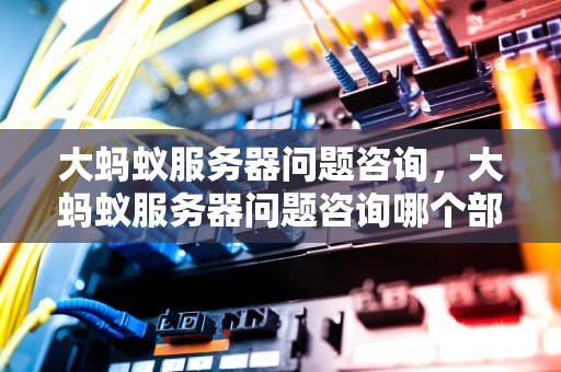 大蚂蚁服务器问题咨询，大蚂蚁服务器问题咨询哪个部门