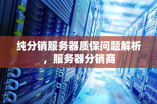 纯分销服务器质保问题解析，服务器分销商