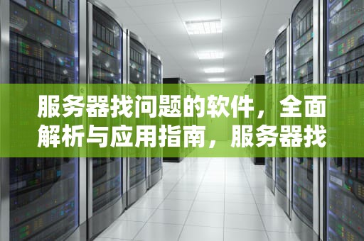 服务器找问题的软件，全面解析与应用指南，服务器找问题的软件叫什么