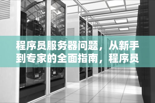 程序员服务器问题，从新手到专家的全面指南，程序员服务器问题怎么解决