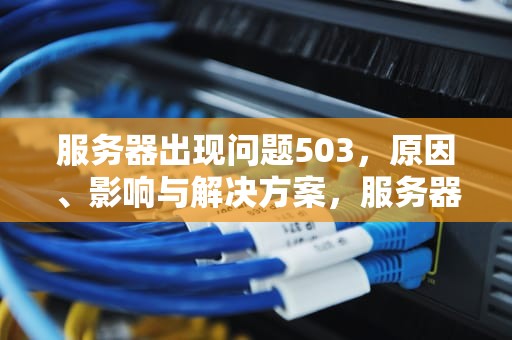 服务器出现问题503，原因、影响与解决方案，服务器出现问题503