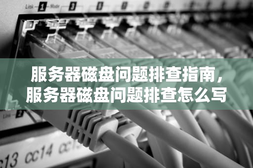 服务器磁盘问题排查指南，服务器磁盘问题排查怎么写