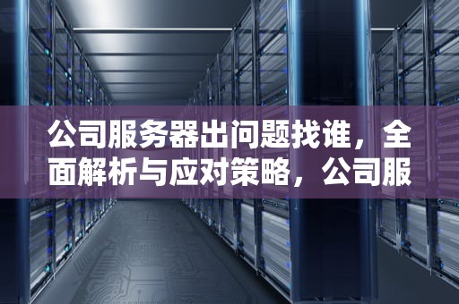 公司服务器出问题找谁，全面解析与应对策略，公司服务器出问题找谁解决