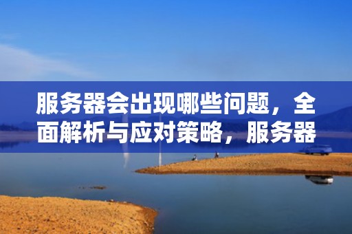 服务器会出现哪些问题，全面解析与应对策略，服务器会出现哪些问题呢