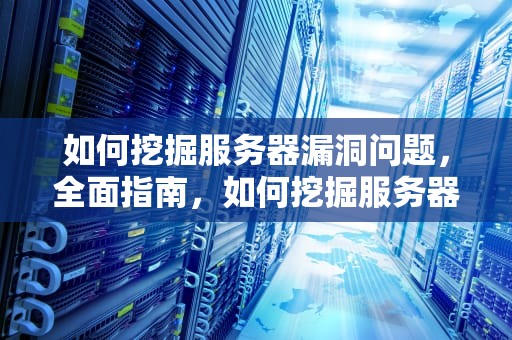 如何挖掘服务器漏洞问题，全面指南，如何挖掘服务器漏洞问题的方法