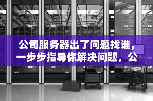 公司服务器出了问题找谁，一步步指导你解决问题，公司服务器出了问题找谁解决
