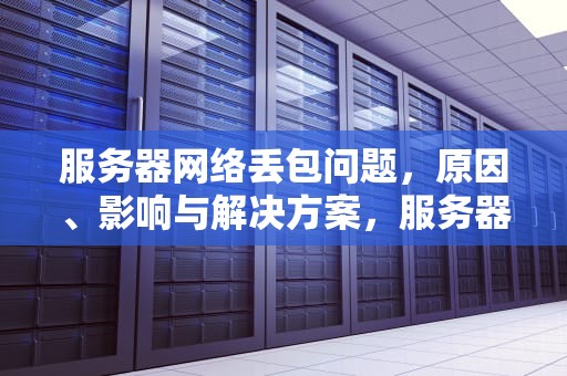 服务器网络丢包问题，原因、影响与解决方案，服务器网络丢包问题怎么解决