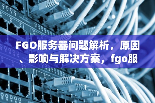 FGO服务器问题解析，原因、影响与解决方案，fgo服务器问题有哪些