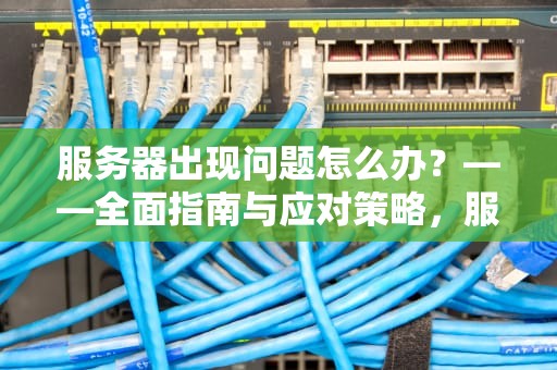 服务器出现问题怎么办？——全面指南与应对策略，服务器出现了问题什么办法解决