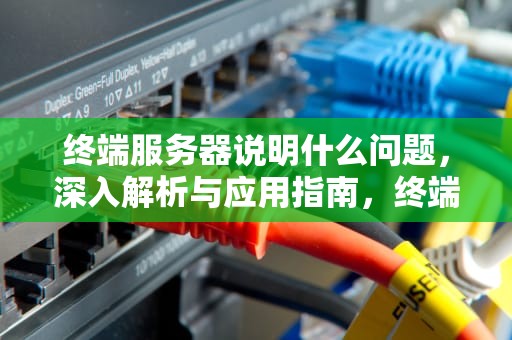 终端服务器说明什么问题，深入解析与应用指南，终端服务器说明什么问题啊