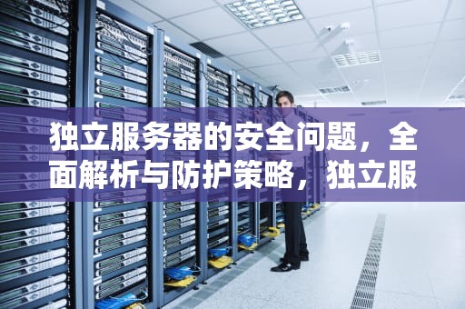 独立服务器的安全问题，全面解析与防护策略，独立服务器的安全问题有哪些