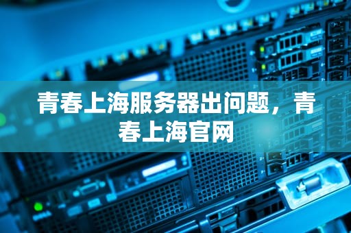 青春上海服务器出问题，青春上海官网