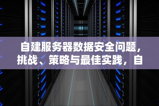 自建服务器数据安全问题，挑战、策略与最佳实践，自建服务器数据安全问题有哪些