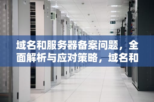 域名和服务器备案问题，全面解析与应对策略，域名和服务器备案问题怎么解决