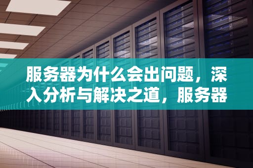 服务器为什么会出问题，深入分析与解决之道，服务器为什么会出问题呢