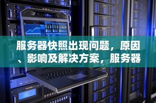 服务器快照出现问题，原因、影响及解决方案，服务器快照出现问题怎么解决