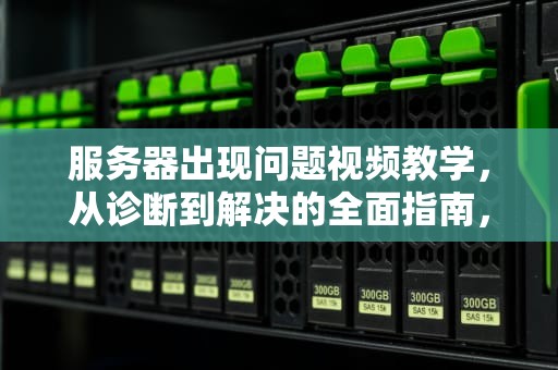 服务器出现问题视频教学，从诊断到解决的全面指南，服务器出现问题视频教学怎么办