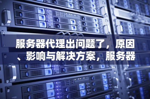 服务器代理出问题了，原因、影响与解决方案，服务器代理出问题了怎么办