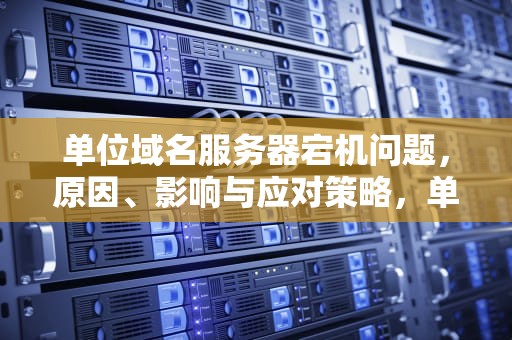 单位域名服务器宕机问题，原因、影响与应对策略，单位域名服务器宕机问题怎么解决