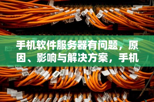 手机软件服务器有问题，原因、影响与解决方案，手机软件服务器有问题怎么解决