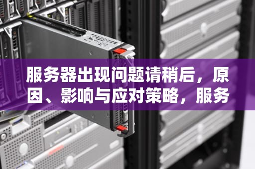 服务器出现问题请稍后，原因、影响与应对策略，服务器出现问题请稍后再试